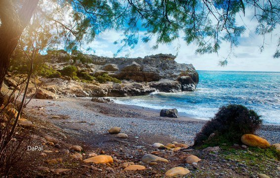 13247682_498519920357270_8295756572599696905_o